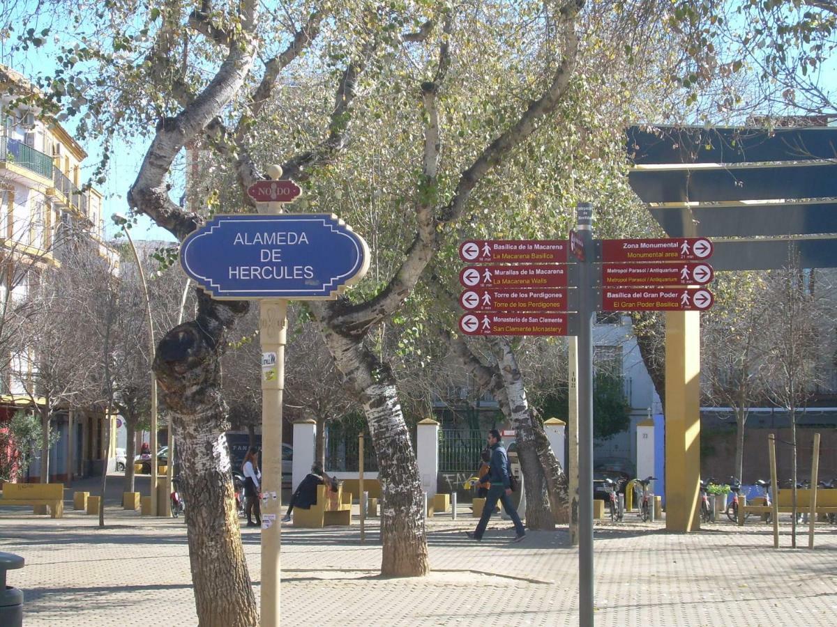 Medina Apartment And Parking Historical Center Sevilla Bagian luar foto